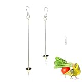 2 Stück Edelstahl Vogel-Spieß für Papageien Vogel Obst Halter Edelstahl Obst- und Gemüsehalter Frucht...