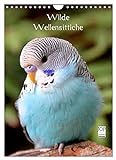Wilde Wellensittiche (Wandkalender 2023 DIN A4 hoch) Monatskalender