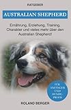 Australian Shepherd: Ernährung, Erziehung, Charakter und vieles mehr über den Australian Shepherd