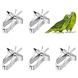 Papageien Obst Gemüse Feeder Clip 5 Stück Vögel Futterhalter Feeder Gerät Vogelkäfig Zubehör Metall Clips...