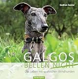 Galgos bellen nicht: Das Leben mit den spanischen Windhunden
