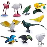 10 Stück Mini-Vogelfiguren, Kunststoff-Vogel-Tierspielzeug, realistische Vogel-Tierfiguren,...