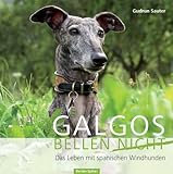Galgos bellen nicht: Das Leben mit den spanischen Windhunden
