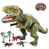 WISHTIME Fernbedienung Dinosaurier Electric Toy Kinder RC Tierspielzeug LED Leuchten Dinosaurier Gehen und Brüllen...