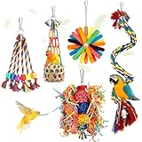 Dwitkul Vogelspielzeug Wellensittich Kauspielzeug Papageienspielzeug Nymphensittich Spielzeug Bunt Vogel Seil...
