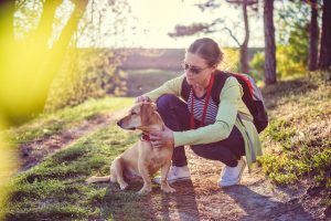 Eine Frau untersucht ihren Hund auf Zecken