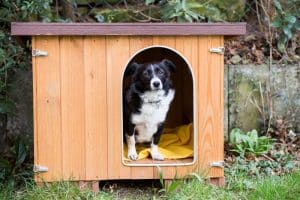 Hundehütte