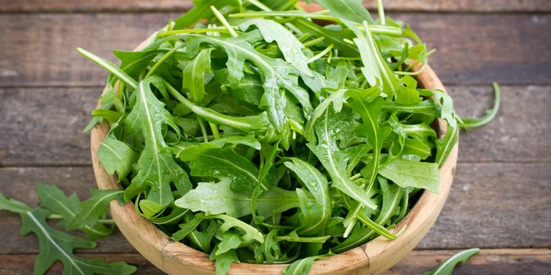 Dürfen Kaninchen Rucola essen?