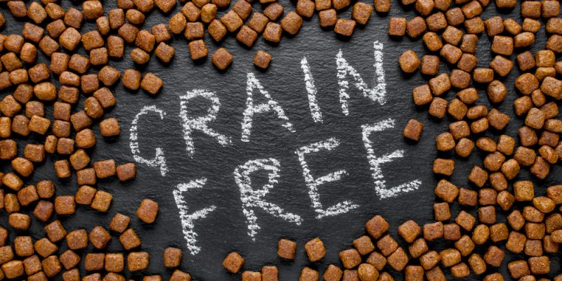 Die getreidefreie Ernährung von Hunden – Ursache, Hintergrund und Vorteile