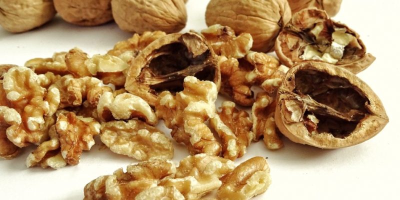 Dürfen Kaninchen Nüsse essen?